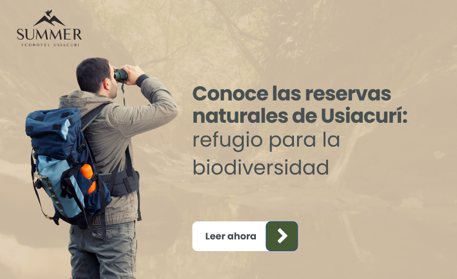 Conoce las reservas naturales de Usiacurí: un refugio para la biodiversidad 